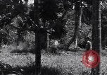 Image of Coast Watcher Bougainville Island Papua New Guinea, 1943, second 11 stock footage video 65675036175