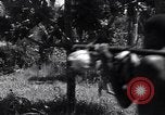 Image of Coast Watcher Bougainville Island Papua New Guinea, 1943, second 12 stock footage video 65675036175