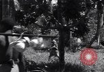 Image of Coast Watcher Bougainville Island Papua New Guinea, 1943, second 13 stock footage video 65675036175
