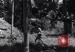 Image of Coast Watcher Bougainville Island Papua New Guinea, 1943, second 14 stock footage video 65675036175