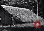 Image of Coast Watcher Bougainville Island Papua New Guinea, 1943, second 17 stock footage video 65675036175