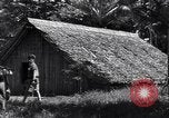 Image of Coast Watcher Bougainville Island Papua New Guinea, 1943, second 18 stock footage video 65675036175