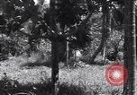 Image of Coast Watcher Bougainville Island Papua New Guinea, 1943, second 20 stock footage video 65675036175