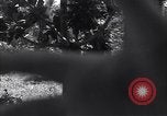 Image of Coast Watcher Bougainville Island Papua New Guinea, 1943, second 21 stock footage video 65675036175