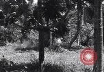 Image of Coast Watcher Bougainville Island Papua New Guinea, 1943, second 22 stock footage video 65675036175
