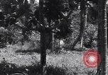 Image of Coast Watcher Bougainville Island Papua New Guinea, 1943, second 24 stock footage video 65675036175