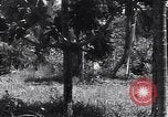 Image of Coast Watcher Bougainville Island Papua New Guinea, 1943, second 25 stock footage video 65675036175