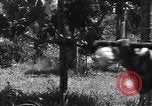 Image of Coast Watcher Bougainville Island Papua New Guinea, 1943, second 26 stock footage video 65675036175