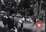 Image of Coast Watcher Bougainville Island Papua New Guinea, 1943, second 27 stock footage video 65675036175
