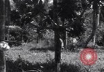 Image of Coast Watcher Bougainville Island Papua New Guinea, 1943, second 28 stock footage video 65675036175