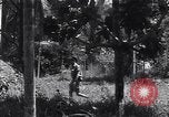 Image of Coast Watcher Bougainville Island Papua New Guinea, 1943, second 29 stock footage video 65675036175