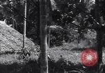 Image of Coast Watcher Bougainville Island Papua New Guinea, 1943, second 30 stock footage video 65675036175