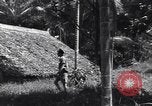 Image of Coast Watcher Bougainville Island Papua New Guinea, 1943, second 31 stock footage video 65675036175