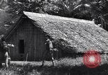 Image of Coast Watcher Bougainville Island Papua New Guinea, 1943, second 33 stock footage video 65675036175