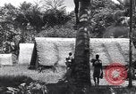 Image of Coast Watcher Bougainville Island Papua New Guinea, 1943, second 38 stock footage video 65675036175