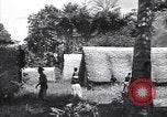 Image of Coast Watcher Bougainville Island Papua New Guinea, 1943, second 42 stock footage video 65675036175