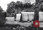 Image of Coast Watcher Bougainville Island Papua New Guinea, 1943, second 45 stock footage video 65675036175