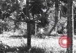 Image of Coast Watcher Bougainville Island Papua New Guinea, 1943, second 48 stock footage video 65675036175