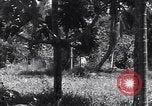 Image of Coast Watcher Bougainville Island Papua New Guinea, 1943, second 49 stock footage video 65675036175