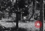 Image of Coast Watcher Bougainville Island Papua New Guinea, 1943, second 50 stock footage video 65675036175