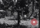Image of Coast Watcher Bougainville Island Papua New Guinea, 1943, second 52 stock footage video 65675036175