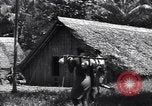 Image of Coast Watcher Bougainville Island Papua New Guinea, 1943, second 57 stock footage video 65675036175