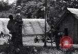 Image of Coast Watcher Bougainville Island Papua New Guinea, 1943, second 59 stock footage video 65675036175
