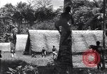 Image of Coast Watcher Bougainville Island Papua New Guinea, 1943, second 61 stock footage video 65675036175