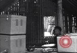 Image of Coast Watcher Bougainville Island Papua New Guinea, 1943, second 6 stock footage video 65675036176