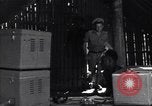 Image of Coast Watcher Bougainville Island Papua New Guinea, 1943, second 9 stock footage video 65675036176