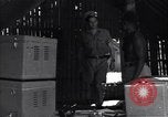 Image of Coast Watcher Bougainville Island Papua New Guinea, 1943, second 10 stock footage video 65675036176