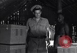 Image of Coast Watcher Bougainville Island Papua New Guinea, 1943, second 12 stock footage video 65675036176