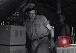Image of Coast Watcher Bougainville Island Papua New Guinea, 1943, second 13 stock footage video 65675036176