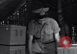 Image of Coast Watcher Bougainville Island Papua New Guinea, 1943, second 14 stock footage video 65675036176
