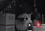 Image of Coast Watcher Bougainville Island Papua New Guinea, 1943, second 15 stock footage video 65675036176