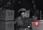 Image of Coast Watcher Bougainville Island Papua New Guinea, 1943, second 16 stock footage video 65675036176