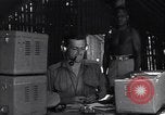 Image of Coast Watcher Bougainville Island Papua New Guinea, 1943, second 38 stock footage video 65675036176