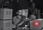 Image of Coast Watcher Bougainville Island Papua New Guinea, 1943, second 41 stock footage video 65675036176