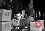 Image of Coast Watcher Bougainville Island Papua New Guinea, 1943, second 44 stock footage video 65675036176