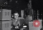 Image of Coast Watcher Bougainville Island Papua New Guinea, 1943, second 45 stock footage video 65675036176