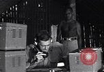 Image of Coast Watcher Bougainville Island Papua New Guinea, 1943, second 49 stock footage video 65675036176