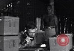 Image of Coast Watcher Bougainville Island Papua New Guinea, 1943, second 51 stock footage video 65675036176