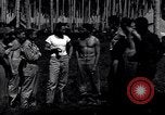 Immagine di Il tenente CE Rusi Guadalcanal nelle Isole Salomone, 1944, secondo 8 filmato di repertorio 65675036198