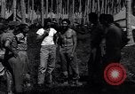Immagine di Il tenente CE Rusi Guadalcanal nelle Isole Salomone, 1944, secondo 14 filmato di repertorio 65675036198