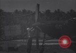 Image of P-38 fighter planes Guadalcanal Solomon Islands, 1944, second 8 stock footage video 65675036199