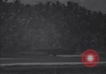Image of P-38 fighter planes Guadalcanal Solomon Islands, 1944, second 14 stock footage video 65675036199