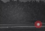 Image of P-38 fighter planes Guadalcanal Solomon Islands, 1944, second 15 stock footage video 65675036199