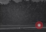 Image of P-38 fighter planes Guadalcanal Solomon Islands, 1944, second 16 stock footage video 65675036199
