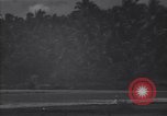 Image of P-38 fighter planes Guadalcanal Solomon Islands, 1944, second 17 stock footage video 65675036199