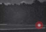 Image of P-38 fighter planes Guadalcanal Solomon Islands, 1944, second 18 stock footage video 65675036199